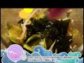 다이어트 요리 미역 초무침 요리 diet food vinegared seaweed