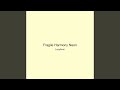 Fragile Harmony Neon