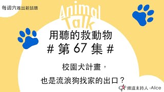 第67集 校園犬計畫，也是流浪狗找家的出口？