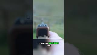 Master Aiming Front Sight Focus for Perfect Shots