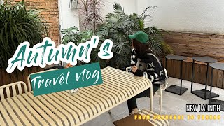 云南Vlog | 去弥勒旅行，海埂公园喂海鸥，斗南市场买鲜花，卤鸡酥肉米线超好吃，住进超艺术的弥勒M酒店~