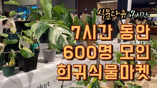 7시간 동안 600명 모인 제2회희귀식물마켓에 참여했습니다. 인산인해 7시간의 기록 영상으로 담았습니다.