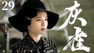 Bullfinch 29 | Chinese drama | Jingyi Zhang、Yueming Pan 、Haibo Huang