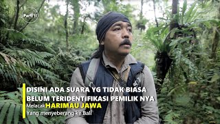 Harimau Jawa menyeberang di Segara Rupek? Part II