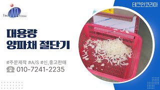 테크인코리아 초고속 양파채 절단기