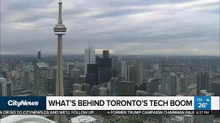 Could Toronto become the next tech capital?