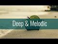 Deep Selections 013 [Deep House, Progressive House, Melodic Breaks] [Extended Mix]