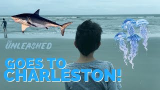 Leo Unleashed Goes To Charleston!