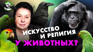 Мыслят ли животные? Зоя Зорина. Ученые против мифов 12-12