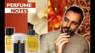 Top 10 Favorite Fragrance Notes | Best Fragrances