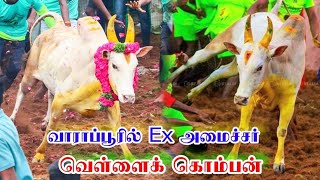 வாராப்பூரில் வெள்ளைக் கொம்பன் ||Dr.Cvb white