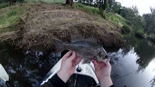 Kayak Fishing Australia - Hard work gets rewarded - Fish don't always come easy.