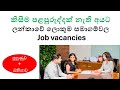 Trainee Job Vacancies in Sri Lanka | Best Opportunities for Freshers 2024