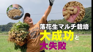 落花生マルチ使っても雑草あったら大きくならない