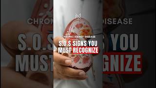 Chronic Kidney Disease SOS Signs: The Kidney Whispers You Must Recognize