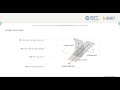 bending active plates with tensile elements a biomimetic approach