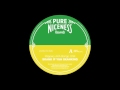 Peppery & Iron Dubz - Skank If Yu Skanking - Pure Niceness Records 7