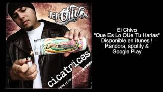 El Chivo - Que Es Lo Que Tu Harias