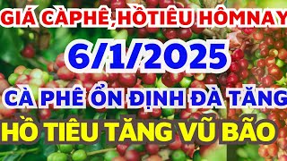 Giá cà phê hôm nay ngày 6/1/2025/Giá hồ tiêu hôm nay