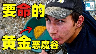 遍地是黄金的原始森林，老外冒险去淘金发财，结果半夜被吓哭！｜淡饭电影