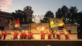 第14回紀州よさこい 海友会 dance team 楽舞和 『紀州夢道中』[2]