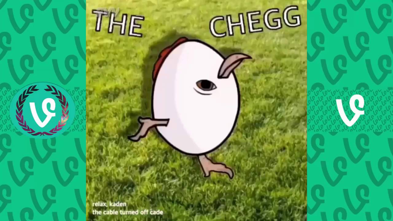 The Chegg Youtube