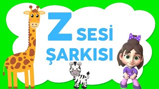 Z Harfi Şarkısı  | Pollkids