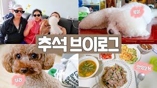 [VLOG] 추석 때 뭐했니?? 먹고, 놀고, 강아지랑 노는 3일 밀착 브이로그 👨‍👩‍👧‍👧