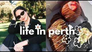 perth diaries | home life, pr \u0026 temu haul, pastries \u0026 picnic, shopping ♡ ameryloves (australia)