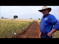 a quick explanation of the cwfs nitrogen trial at weethalle.