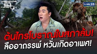 ต้นไทรโบราณในสภาล้ม! ลืออาถรรพ์ หวั่นเกิดอาเพศ | HIGHLIGHT | แฉ 22 ก.ค.65 | GMM25