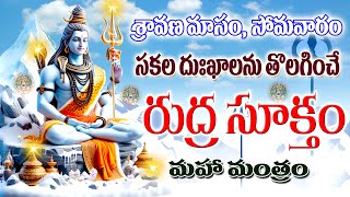 సకల దుఃఖాలను తొలగించే రుద్ర సూక్తం Rudra Suktam Lord Siva Powerful Vedic Chanting to remove Sorrows