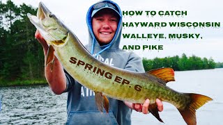 Hayward Wisconsin Multi-species Fishing (Walleye, Pike, and Musky)