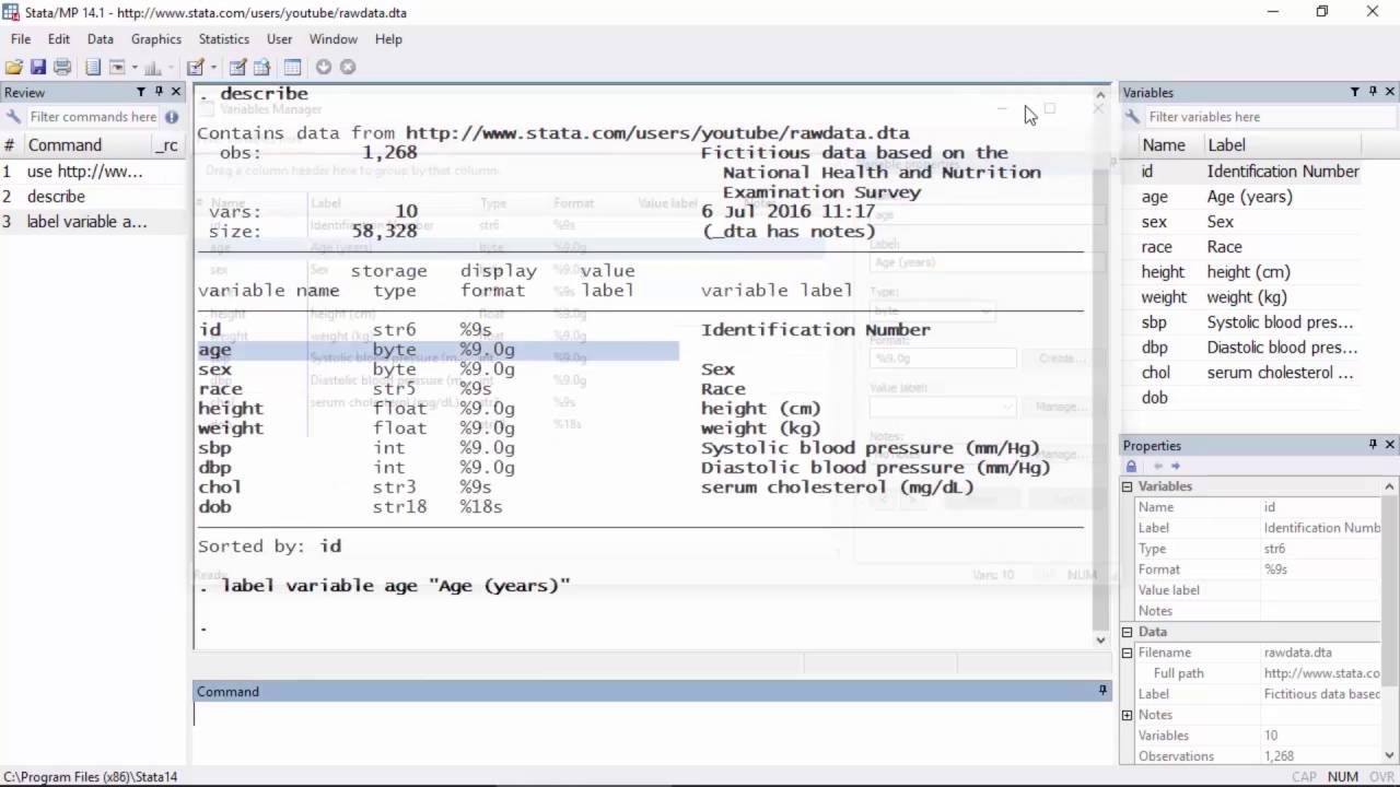 40 Label Variable Values Stata