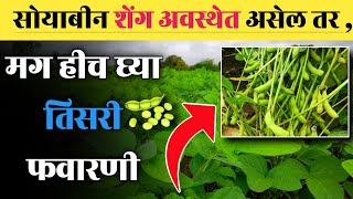 सोयाबीन पिकात तिसरी फवारणी | Soyabean madhe Tisri favarani | Soyabean Third Spray | शेंगा अवस्था