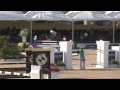 video of flecu ridden by alexander zetterman from shownet