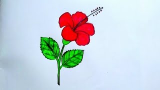 Pencil colour drawing flowers ll joba ful drawing for beginners