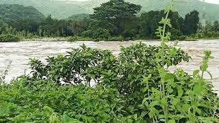 Cyclone effect PANDURU VILLAGE. KOTAURATLA MANDAL VISHAKAPATNAM DISTRICT AP