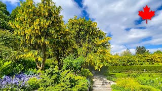 【Vancouver-VanDusen Botanical Garden 1-】🇨🇦 1 Minute