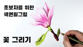 초보자를 위한 색연필 기법 / 꽃그리기 / 채색방법
