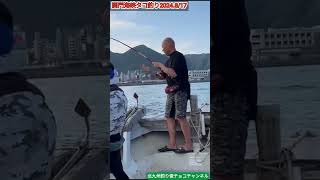 【関門タコ】釣れたタコの最後の抵抗をみせる。 #釣り #タコ