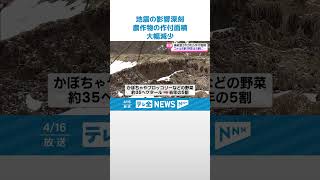 【地震の影響深刻】農作物の作付面積大幅減少　県の対応は #shorts