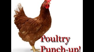 Poultry Punch-up! (Garrys mod: DarkRP)