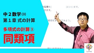 【中２数学(3)】多項式の計算③同類項(第１章式の計算3)Byユニバープラス