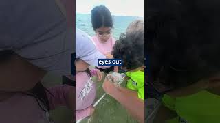 What's Going On Today? Lehigh Elementary Bunche Beach Field Trip