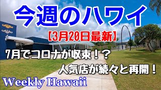 【今週のハワイ★３月２０日最新版】１週間のハワイ情報をまとめてお届け♪これを見ればハワイの今がわかる！！