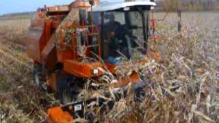 La première Bourgoin (corn picker) Ferme Maxiel