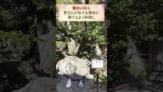 勝負や金運アップなら物部神社 #バーチャル参拝 #shorts #心で感じてみて