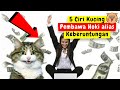 5 TANDA KUCING PEMBAWA HOKI !! Mitos Warna Kucing Pembawa Rezeki dan Kucing Pembawa Keberuntungan