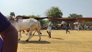 5వ జత బుజ్జమ్మ గారి వెంకటకృష్ణయ్య గారు